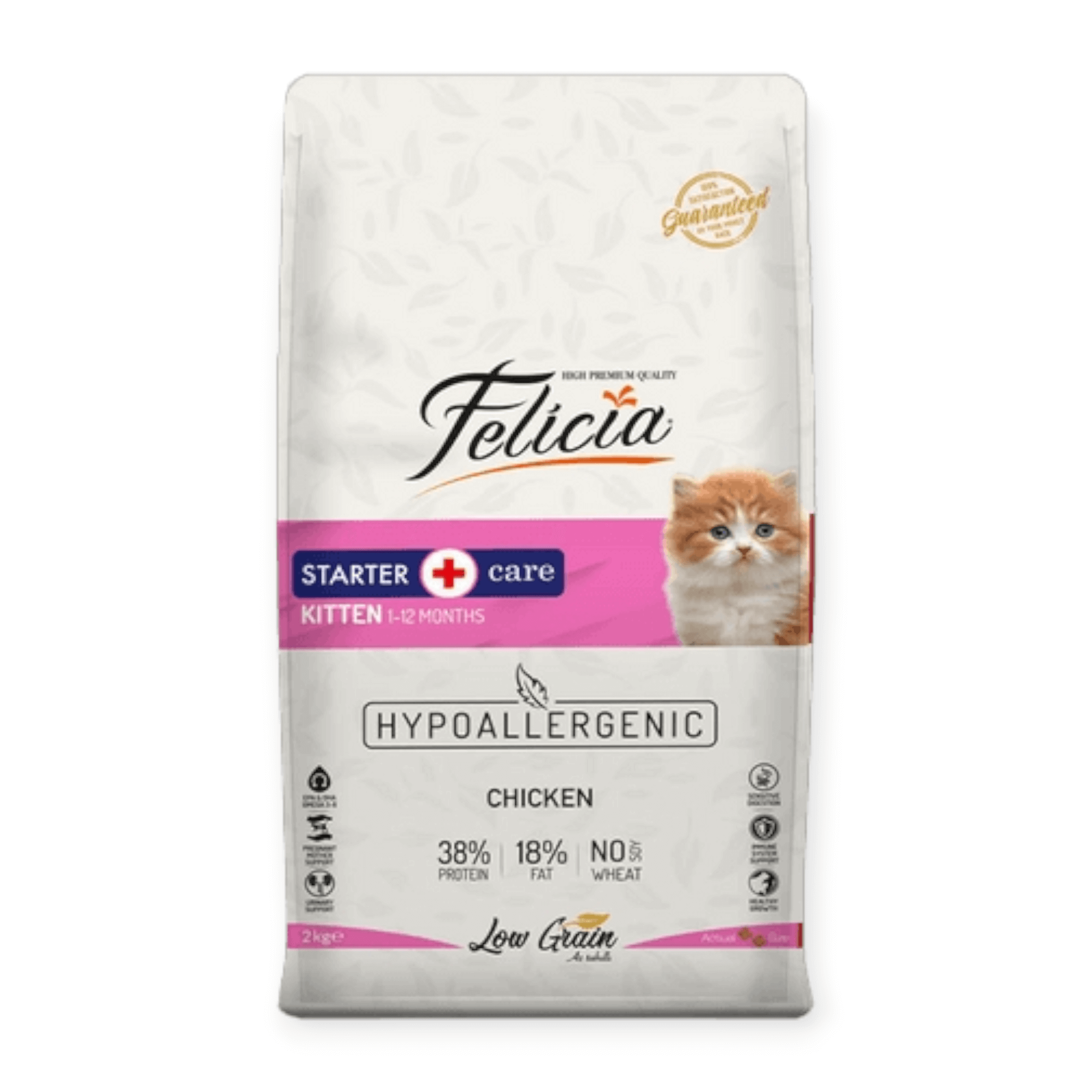 felicia stater care kitten 2kg