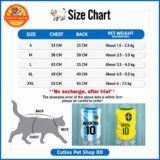 Cat Sleeveless Football Team Jersey Dress / Tshirts (No Exchange, after trial)